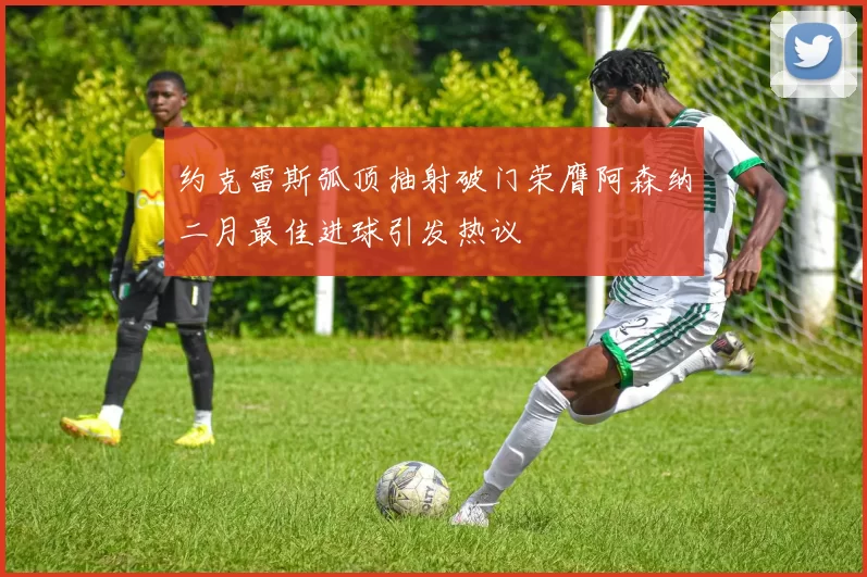 约克雷斯弧顶抽射破门荣膺阿森纳二月最佳进球引发热议