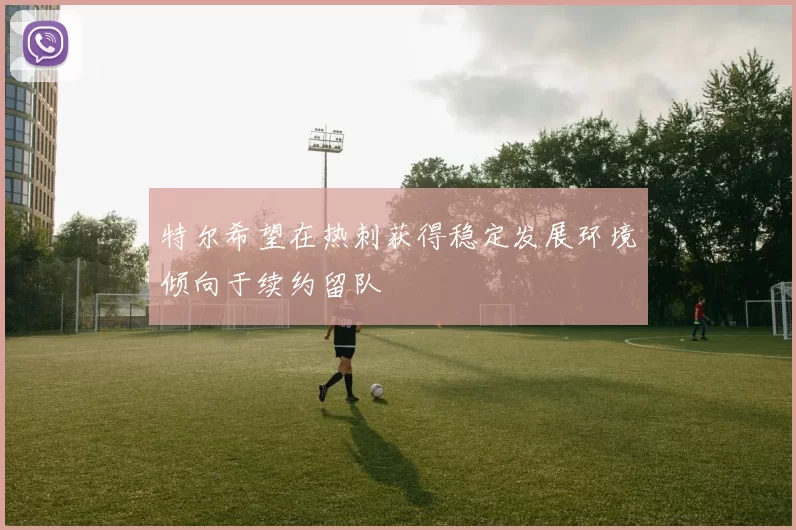特尔希望在热刺获得稳定发展环境倾向于续约留队